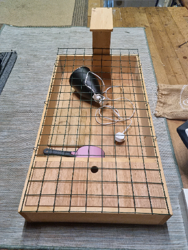 heat lamp for tortoise table